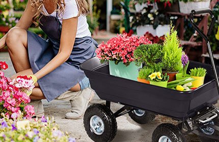 Garden Cart